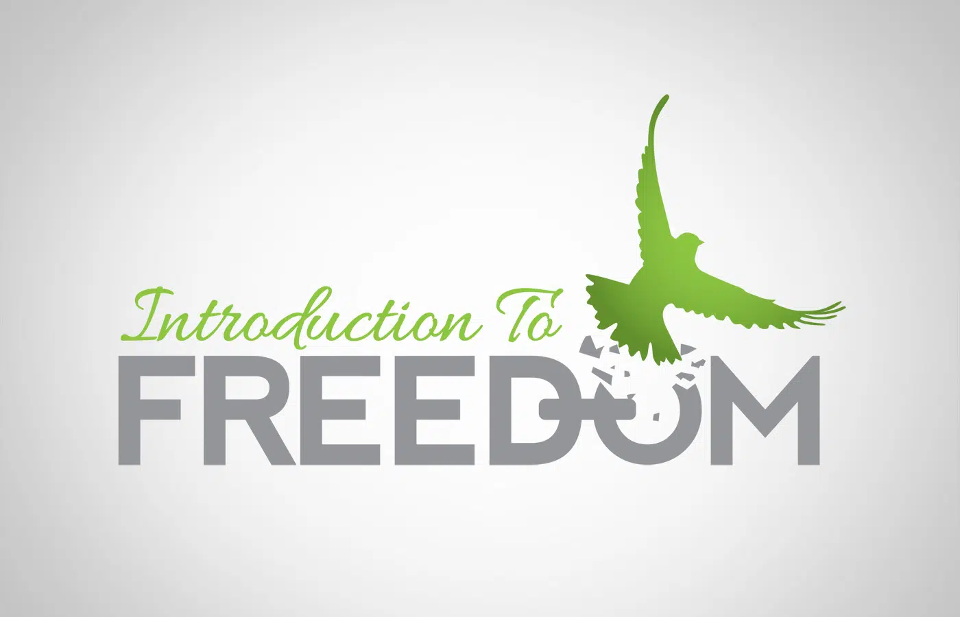 Edmonton Graphic Design | Introduction to Freedom Logo
