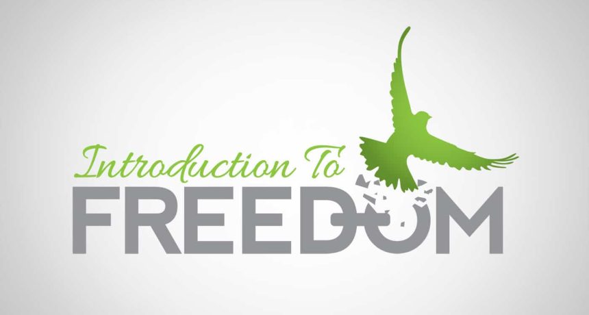 Edmonton Graphic Design | Introduction to Freedom Logo